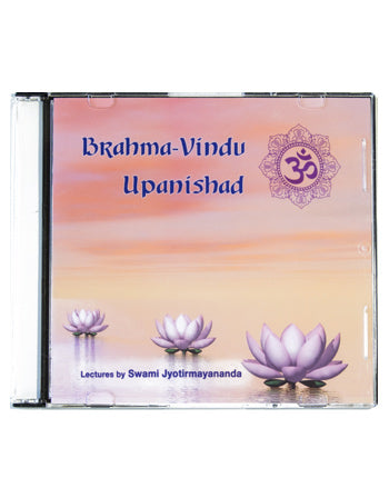 Brahma Vindu Upanishad Retreat (2012)